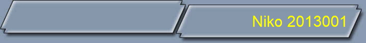 Niko 2013001