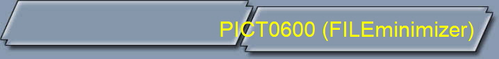 PICT0600 (FILEminimizer)